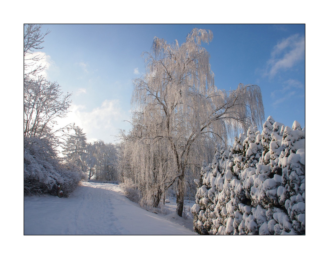 Schnee & Sonnenschein