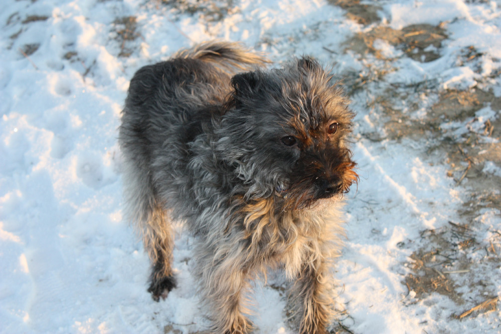 Schnee Spaziergang