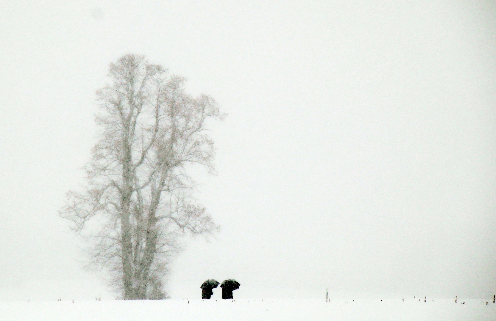 Schnee - Spaziergang