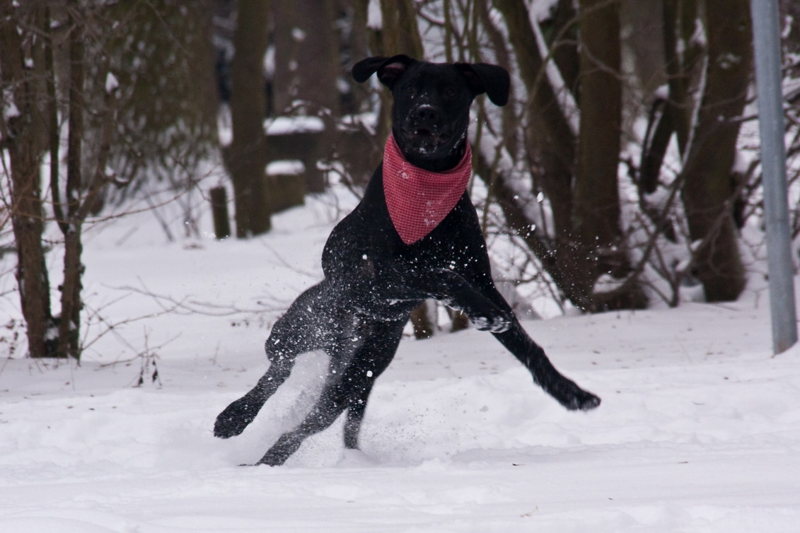 Schnee & Spielen