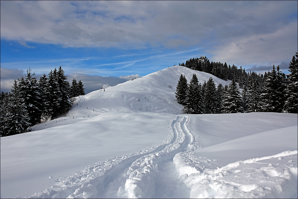 Schnee-Spuren....