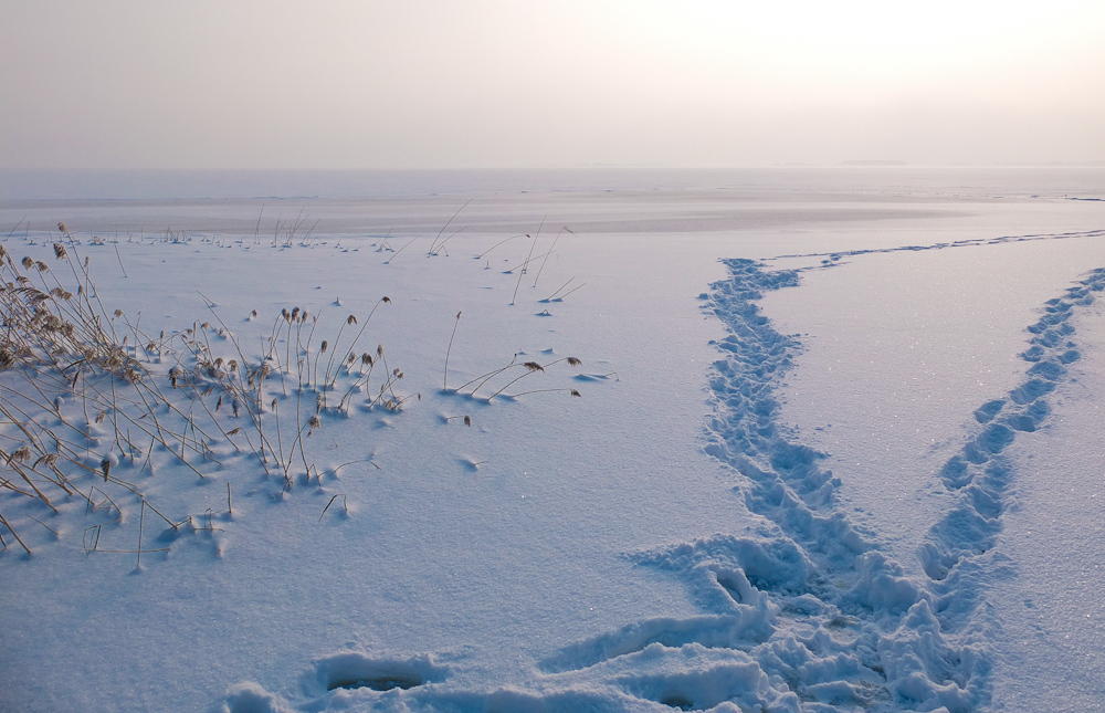 Schnee-Spuren