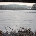 Schnee statt Wasser im Vogelparadies