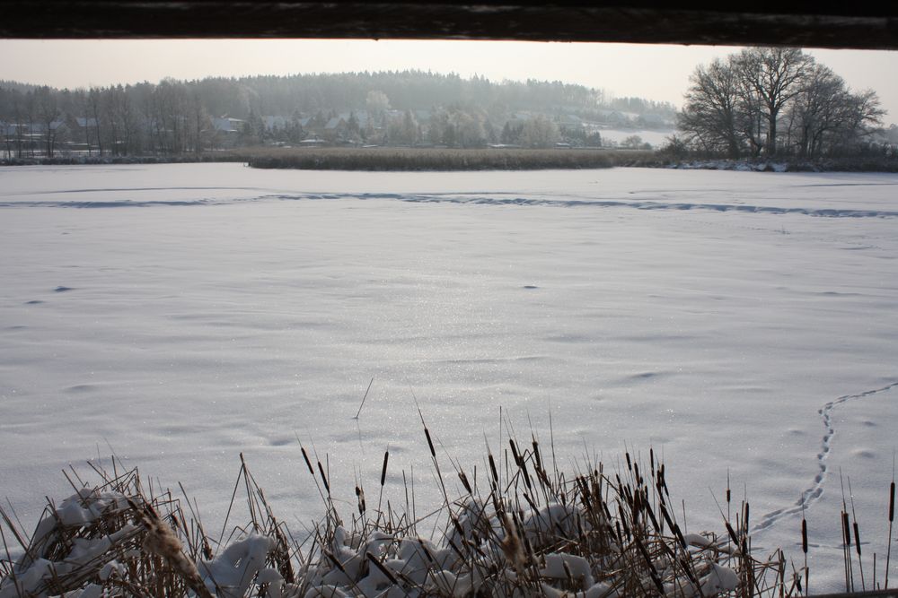 Schnee statt Wasser im Vogelparadies