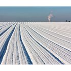 Schnee-Streifen-Rauch-Gassigeher-Hund