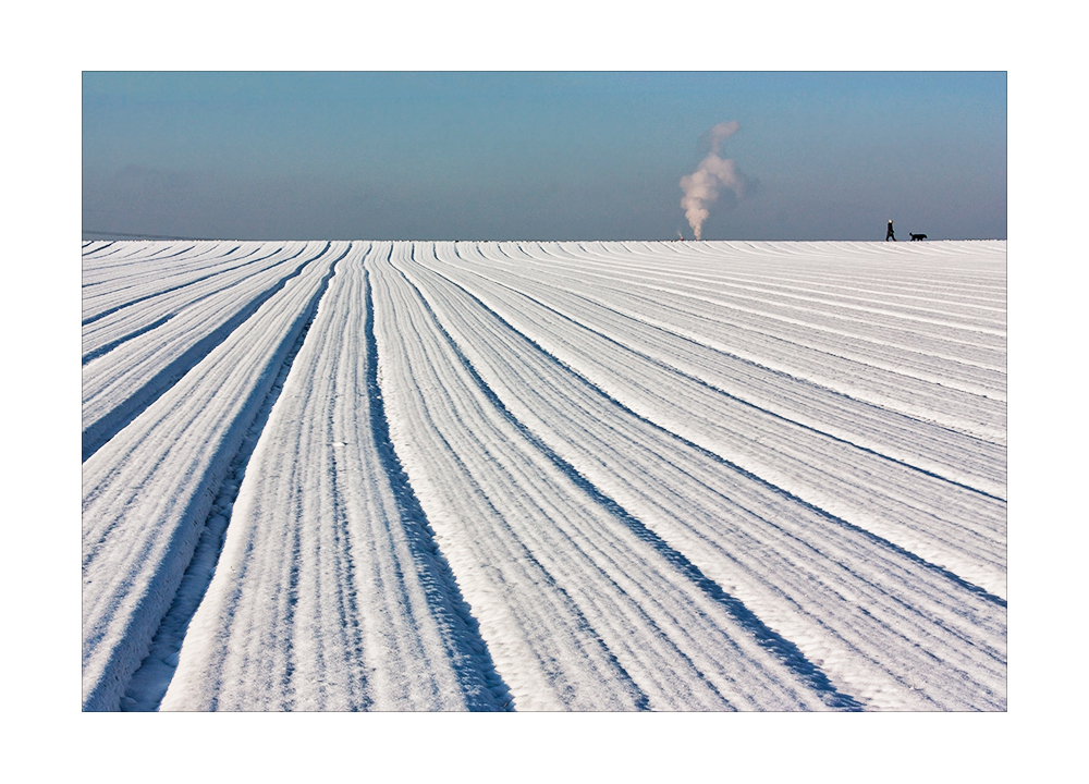 Schnee-Streifen-Rauch-Gassigeher-Hund