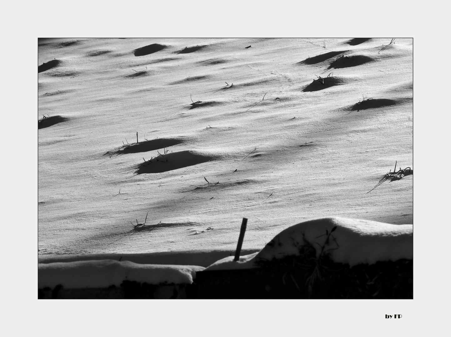 Schnee Studie in Monochrom 