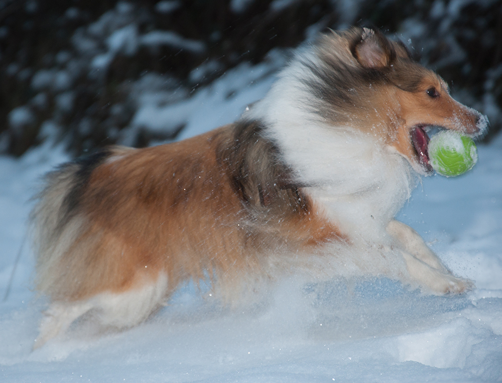 Schnee Tennis