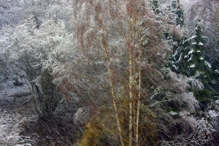 Schnee-Treiben