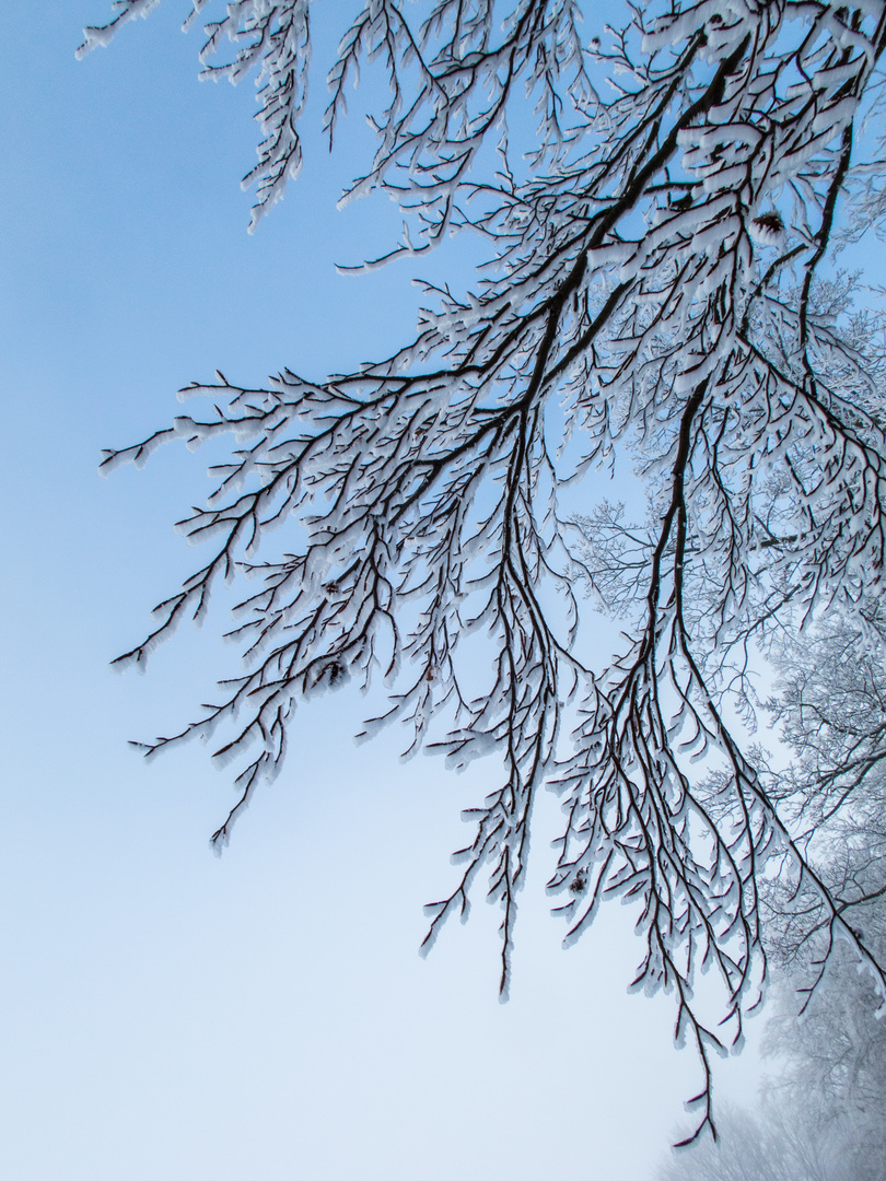 Schnee über uns