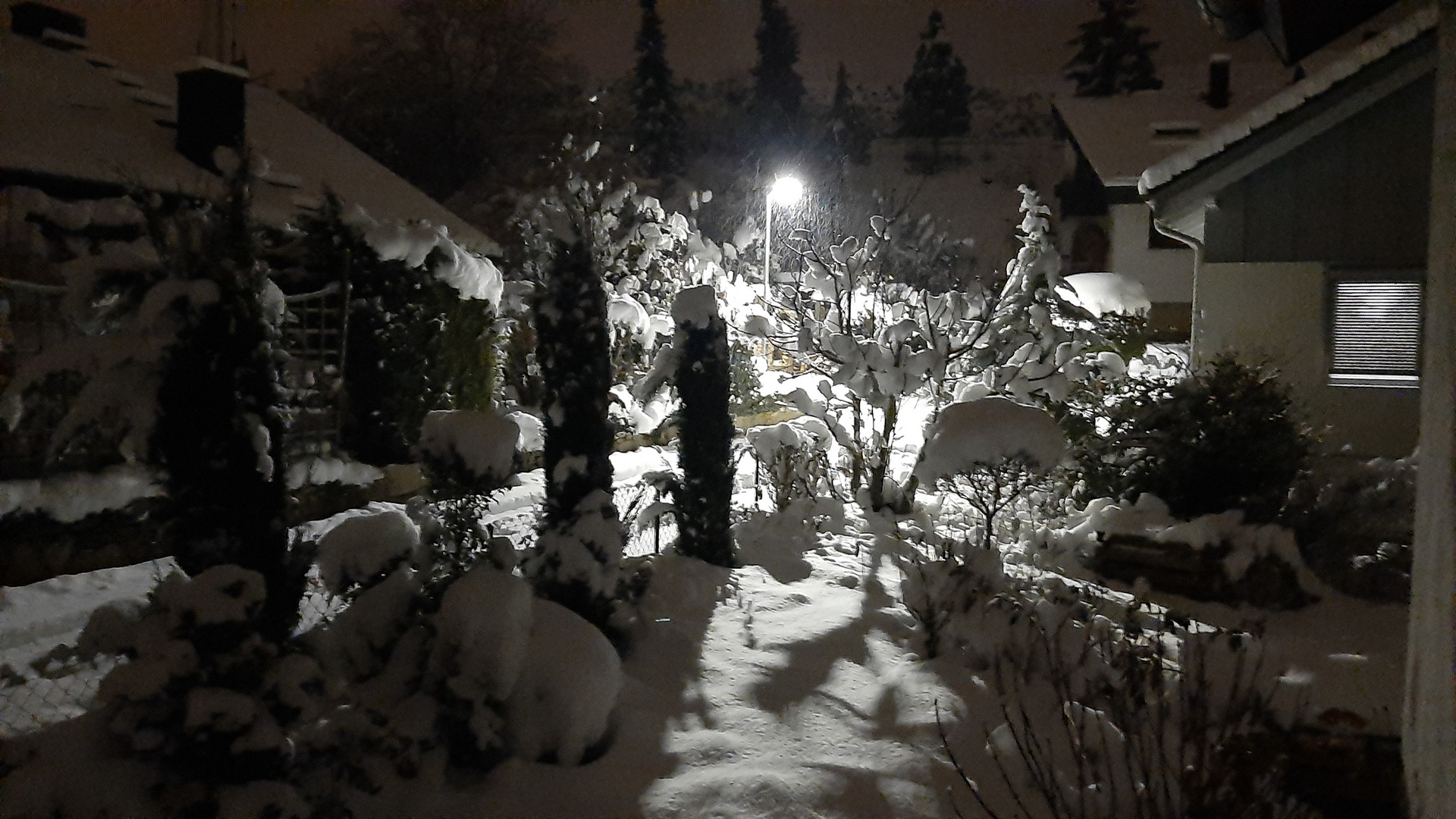 Schnee um Mitternacht