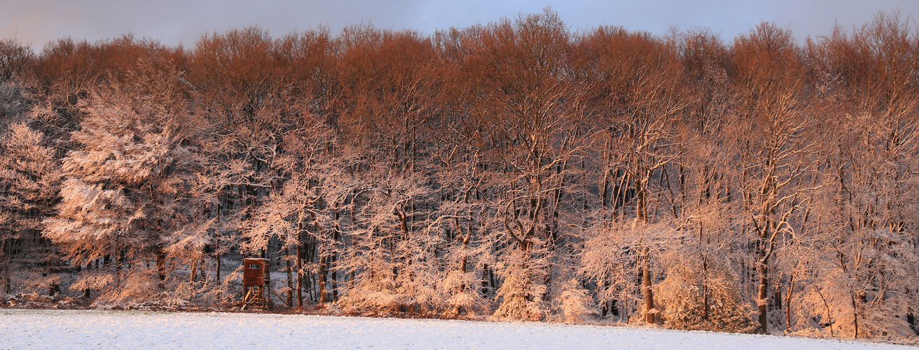 Schnee und Abendsonne