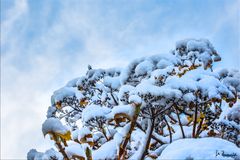 Schnee und blauer Himmel