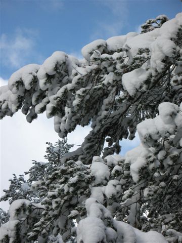 Schnee und blauer Himmel, so sollte es sein