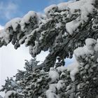 Schnee und blauer Himmel, so sollte es sein