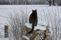 Schnee und die Kälte...