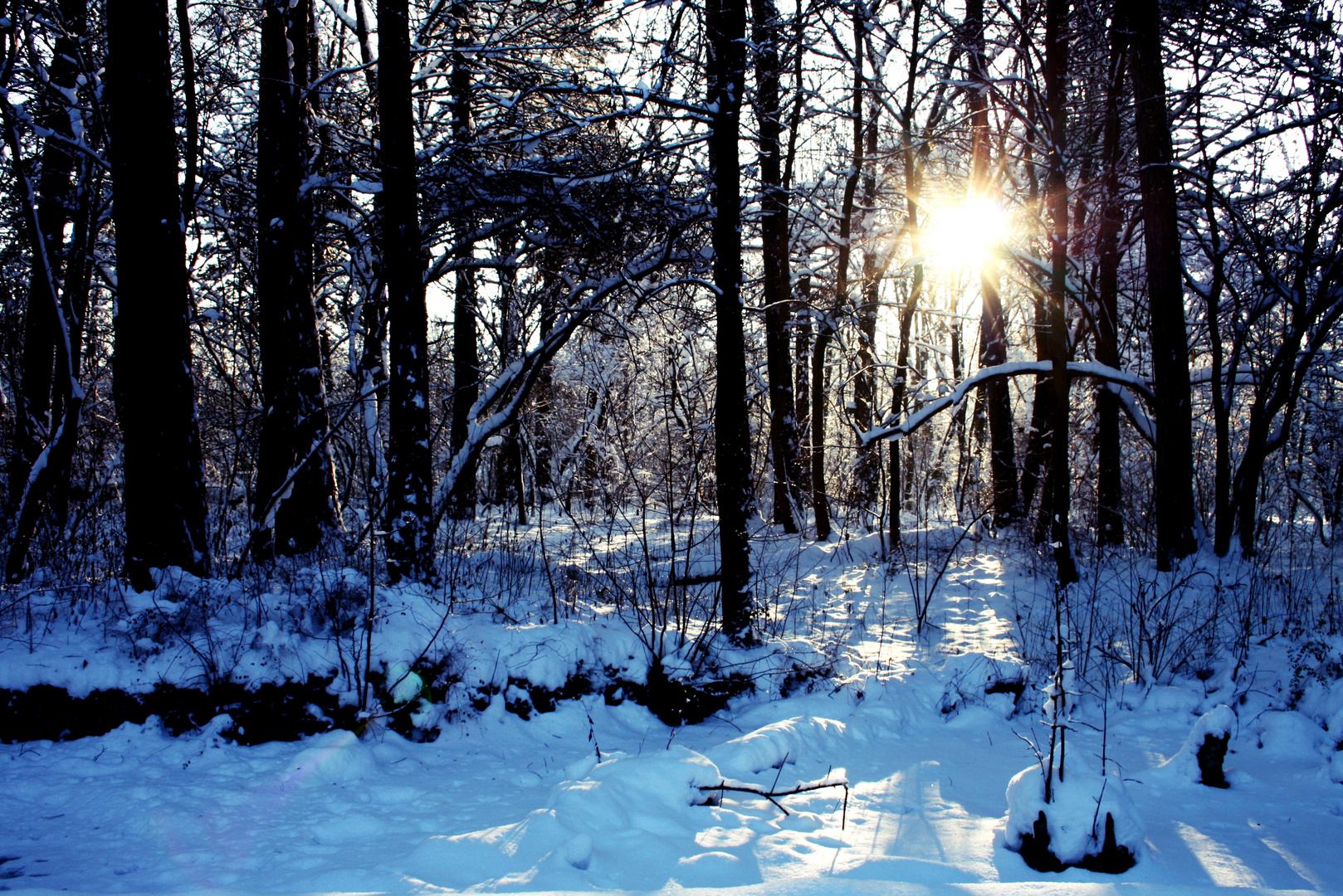 Schnee und die Sonne