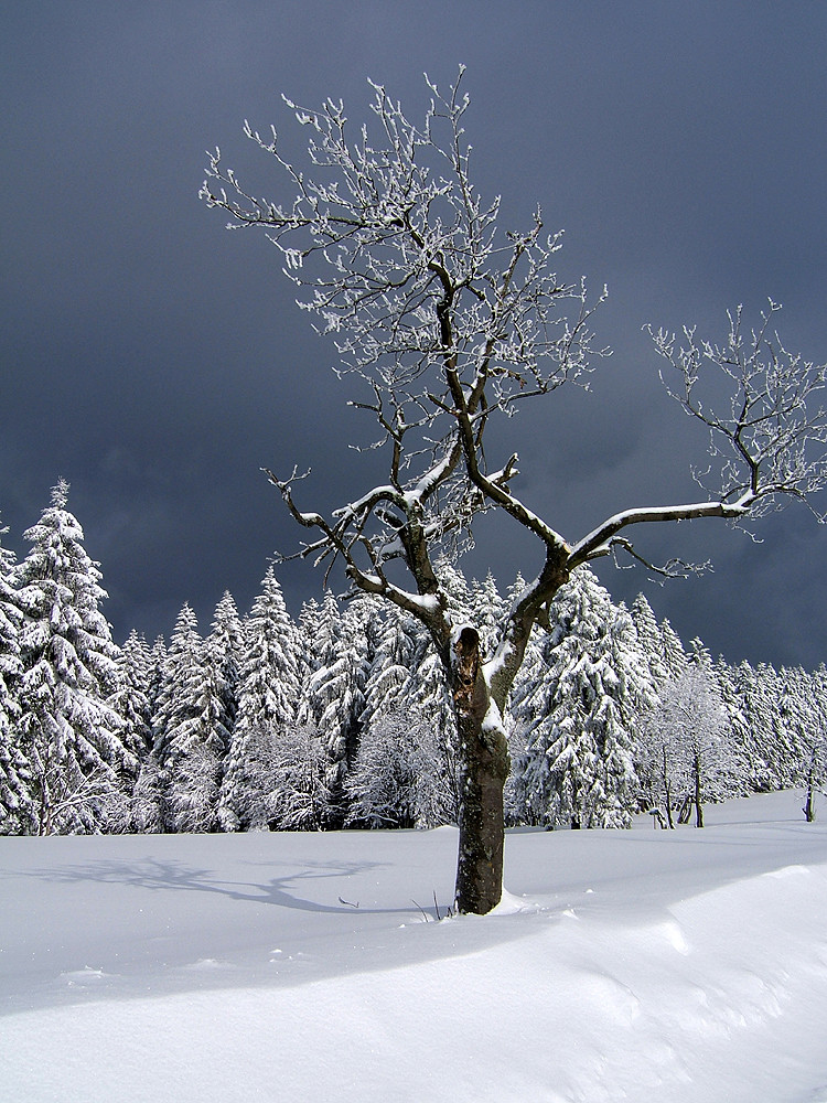 Schnee und dunkle Wolken