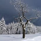 Schnee und dunkle Wolken