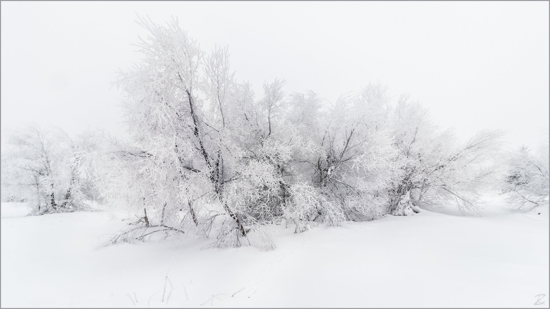 Schnee und Eis Foto &amp; Bild jahreszeiten, winter, bäume