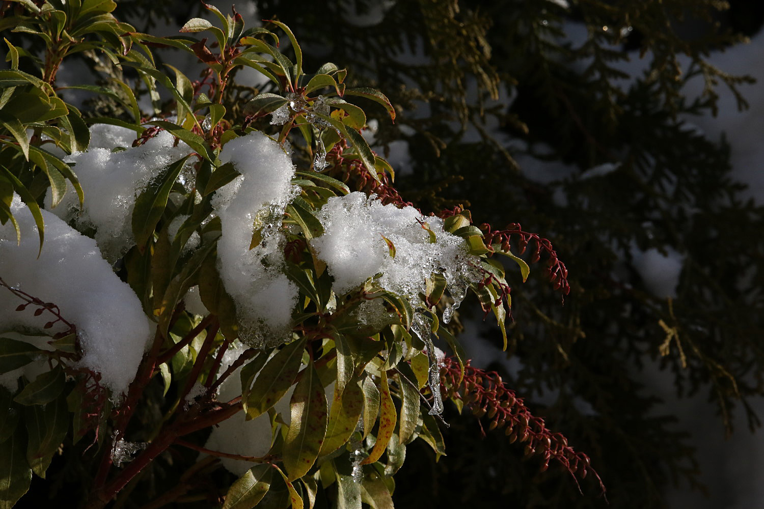 Schnee und Eis