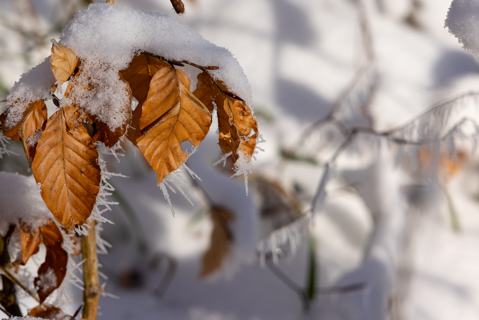 Schnee und Eis I