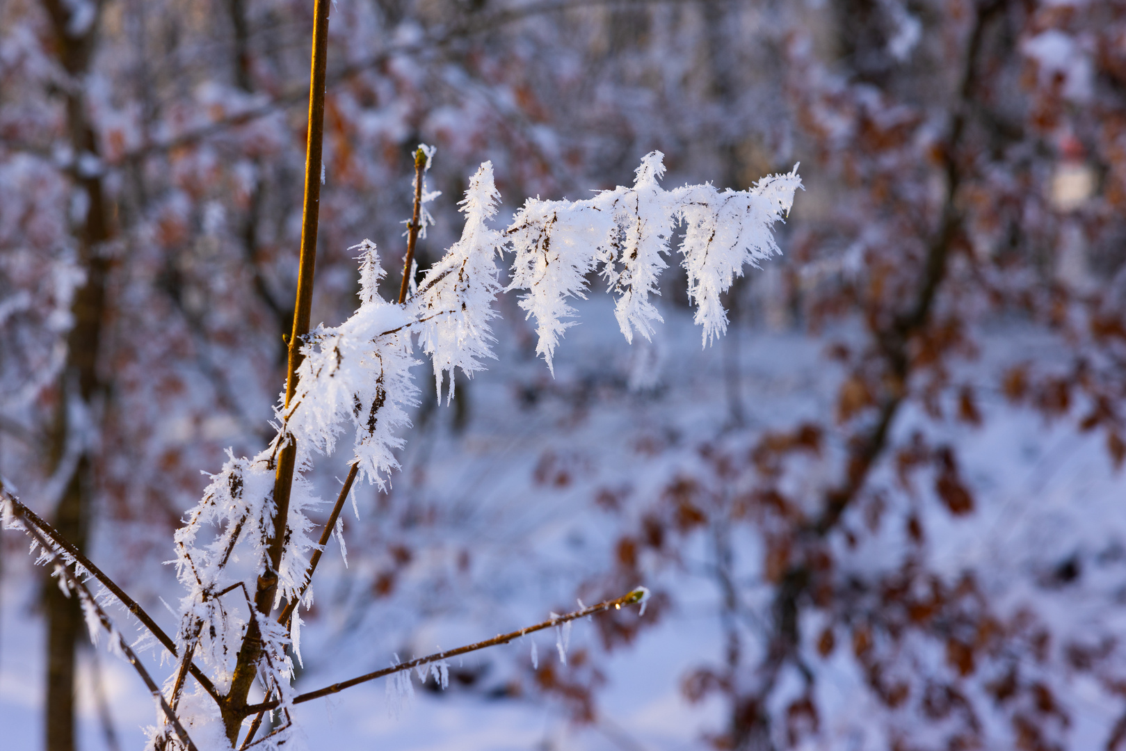 Schnee und Eis II