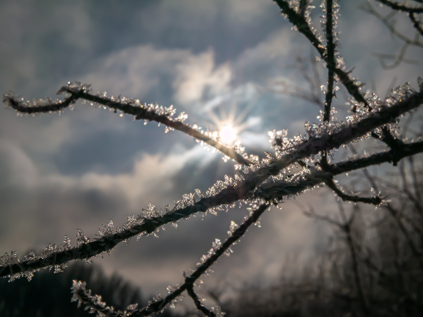 Schnee und Eis in den Lippeauen