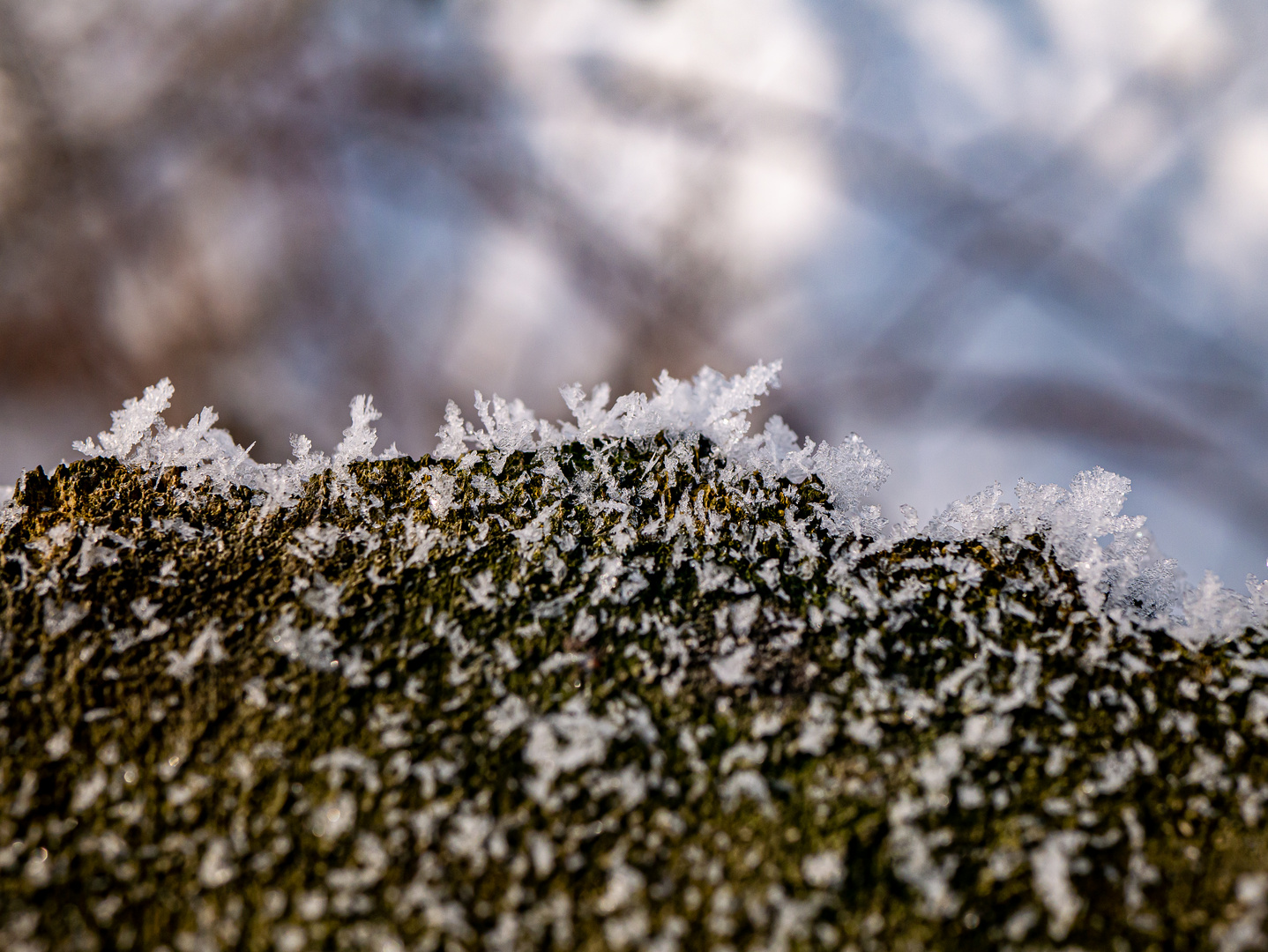 Schnee und Eis in den Lippeauen