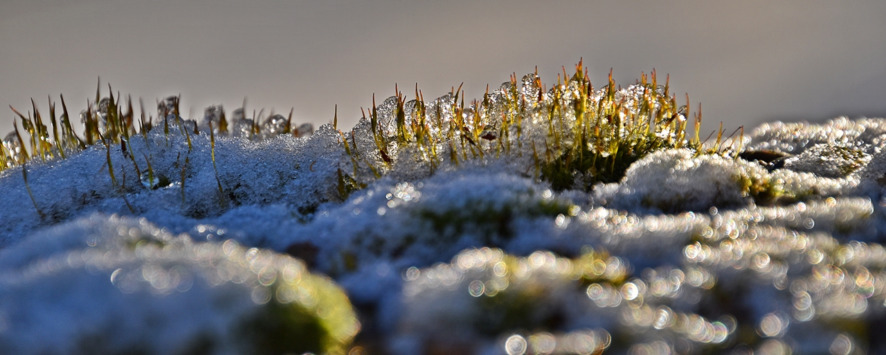 Schnee und Eis schmelzen