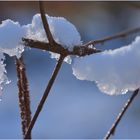 Schnee und Eis tauen in der Morgensonne