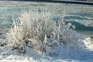 Schnee und Eis werden wieder zu Wasser von BineGrimm 