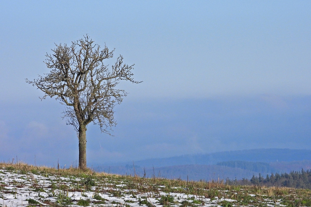 Schnee- und Eisreste: Endlich mal mit etwas Sonne 01