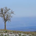 Schnee- und Eisreste: Endlich mal mit etwas Sonne 01