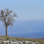 Schnee- und Eisreste: Endlich mal mit etwas Sonne 01