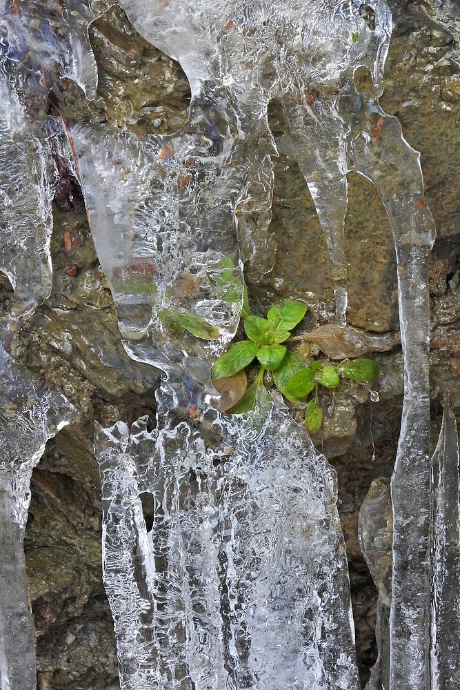 Schnee- und Eisreste: Endlich mal mit etwas Sonne 05