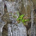 Schnee- und Eisreste: Endlich mal mit etwas Sonne 05