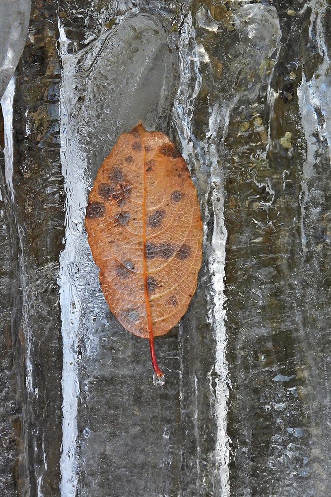 Schnee- und Eisreste: Endlich mal mit etwas Sonne 09