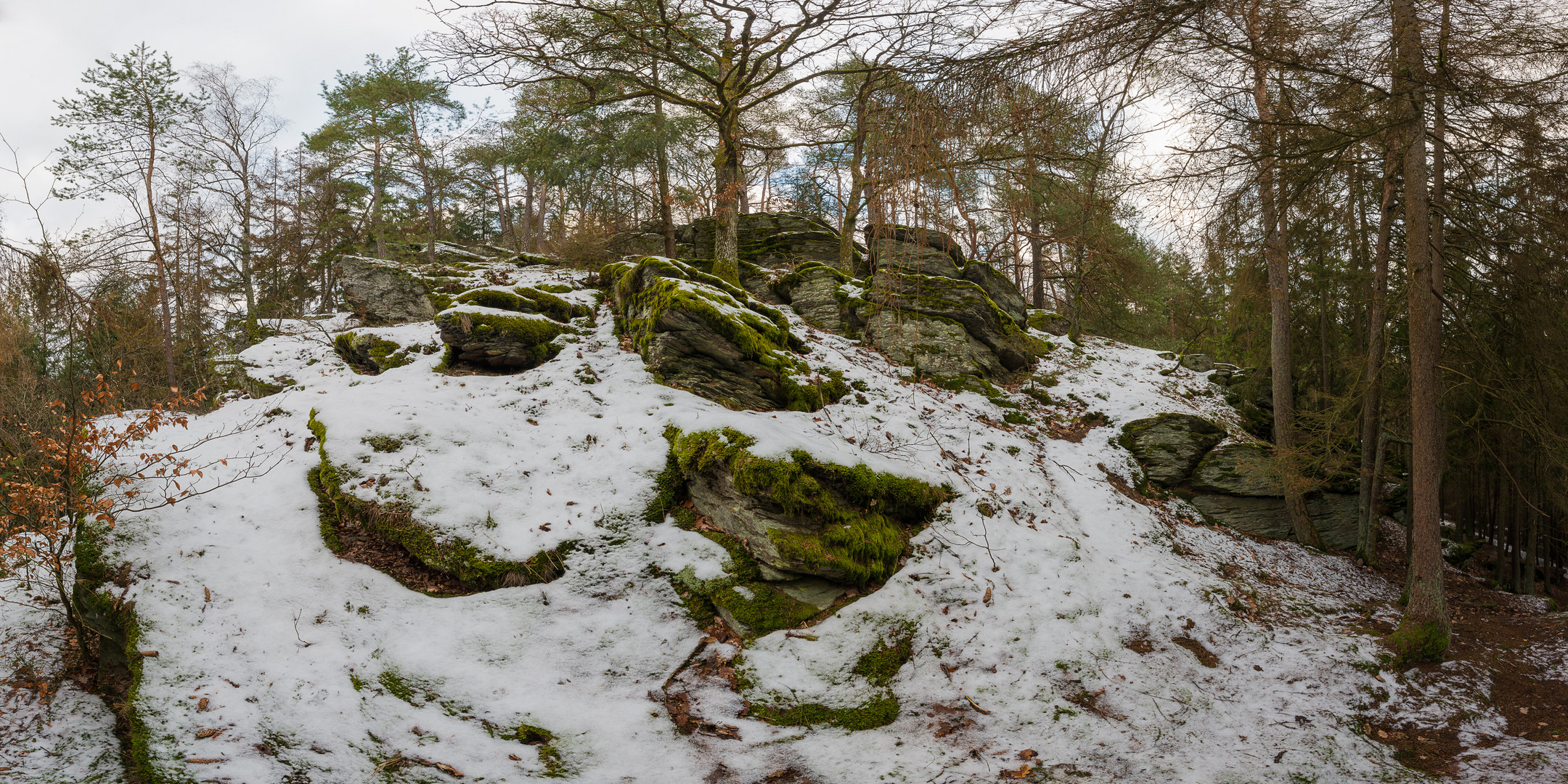 Schnee und Felsen 