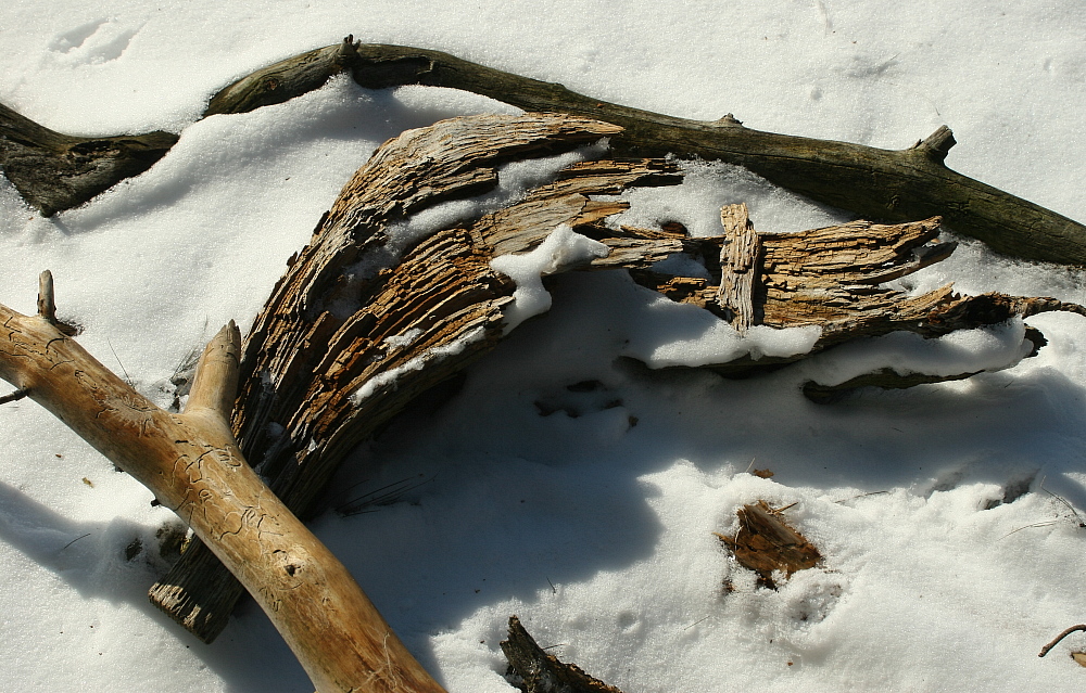 Schnee und Holz