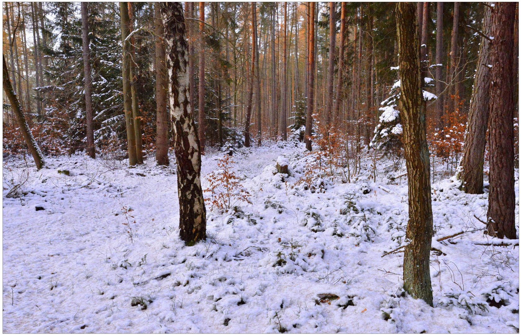 Schnee und Kälte (nieve y frío)