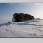 Schnee und Kälte satt