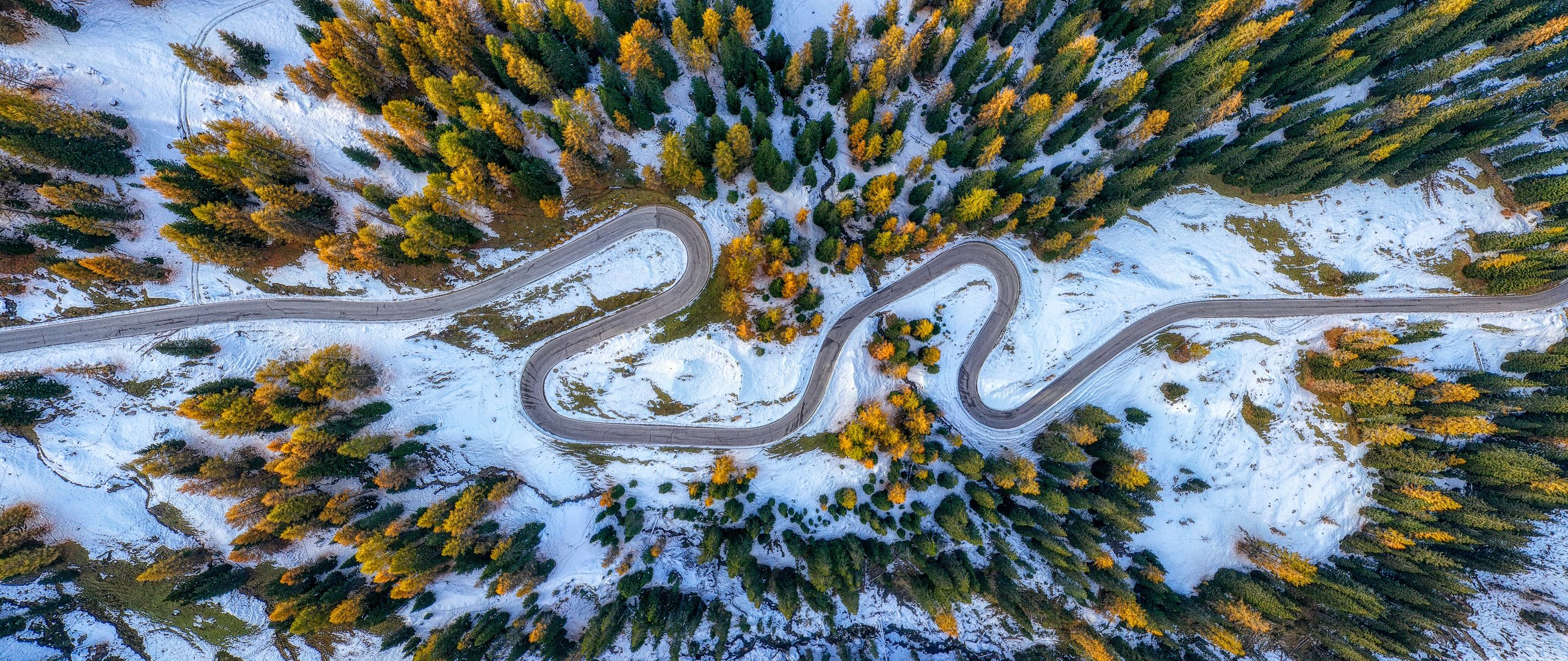 Schnee und Lärchen