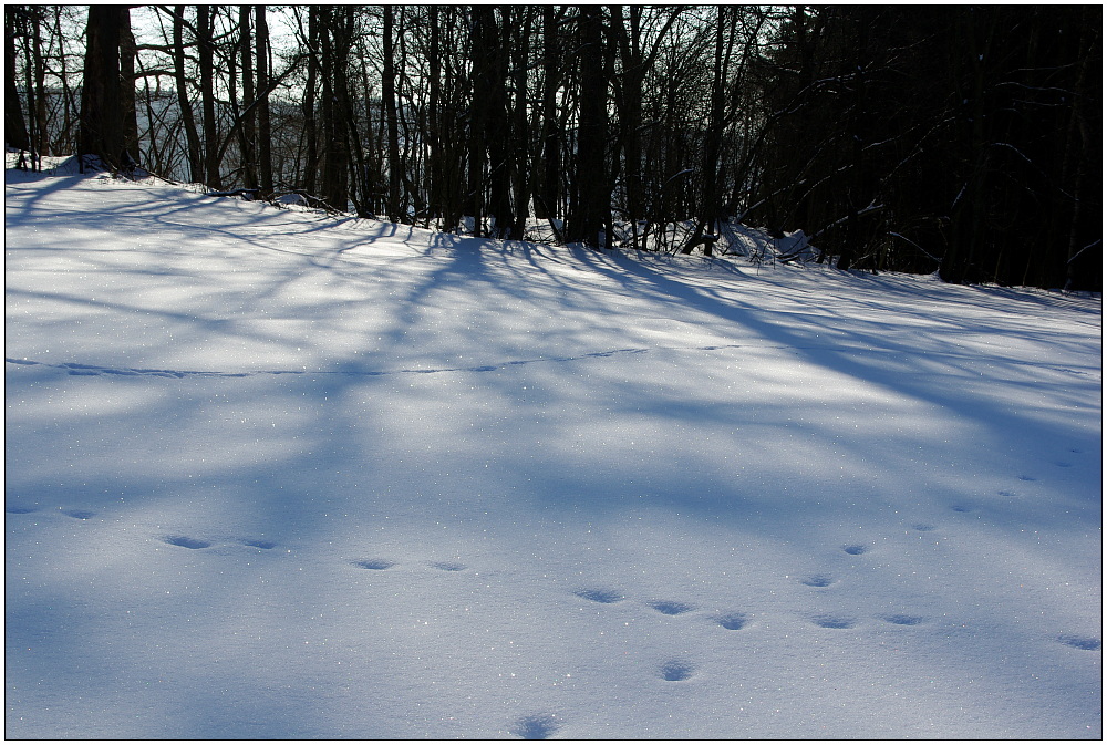 Schnee und Licht