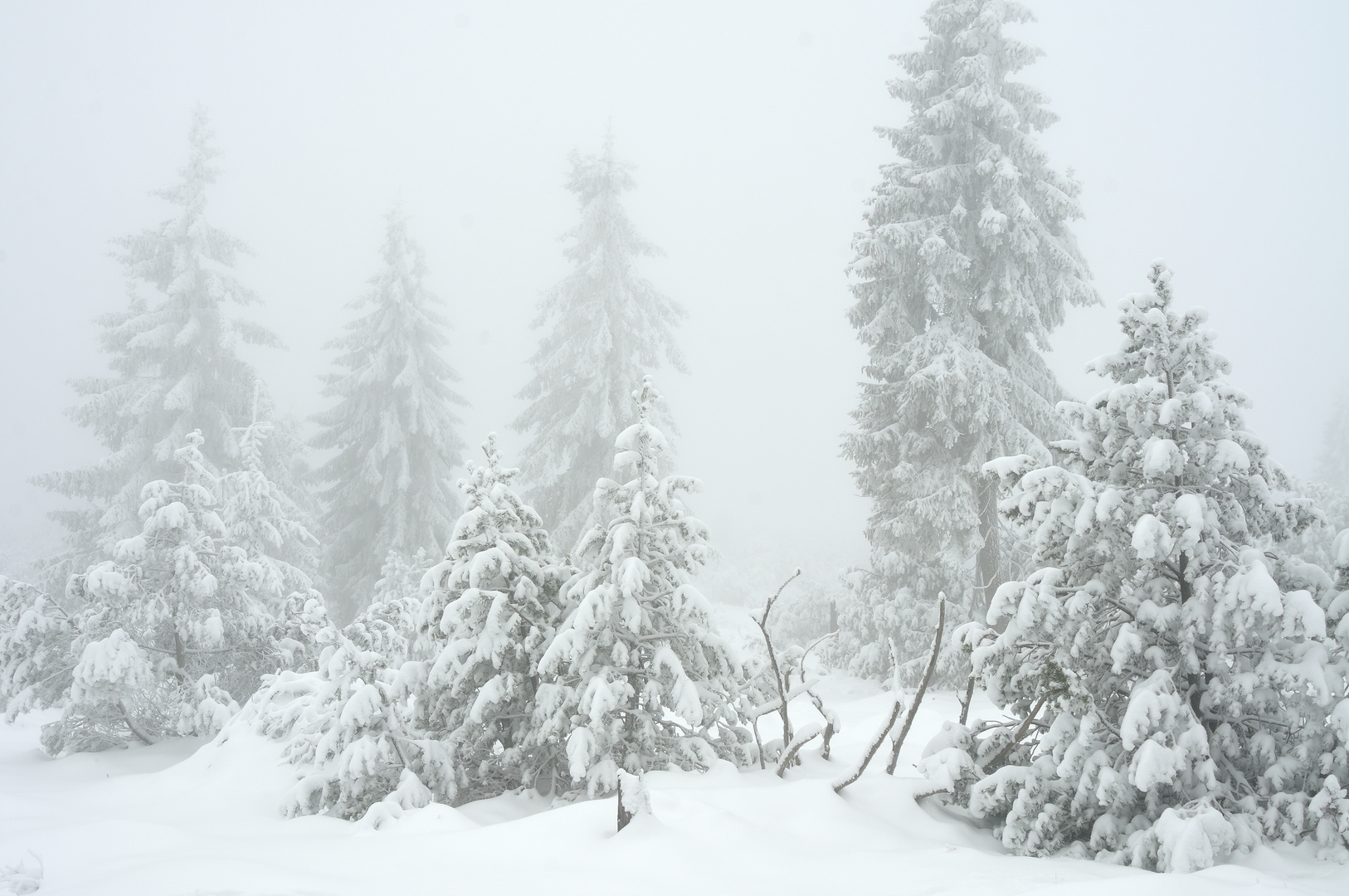 Schnee und Nebel