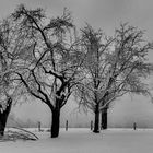 Schnee und Nebel