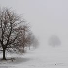 Schnee und Nebel