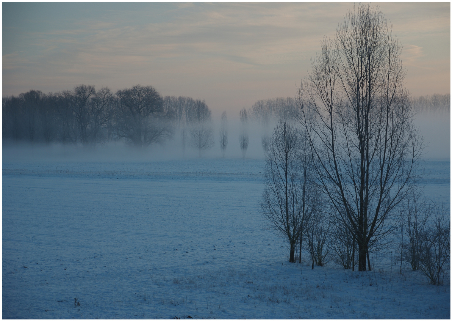 Schnee und Nebel am Rhein