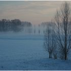 Schnee und Nebel am Rhein