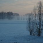 Schnee und Nebel am Rhein